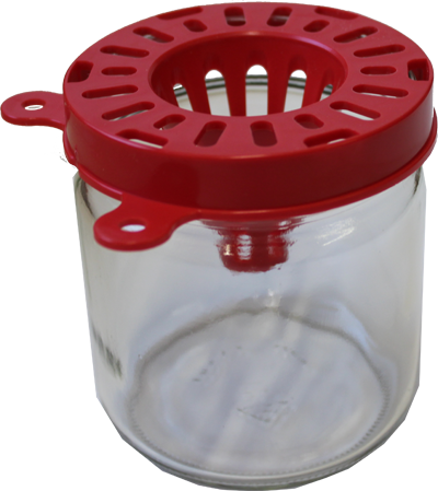 aziatische-hoornaar-val 