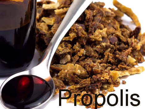 propolis